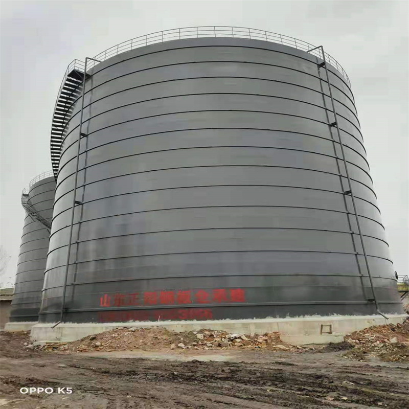 雁塔3万吨大型钢板库