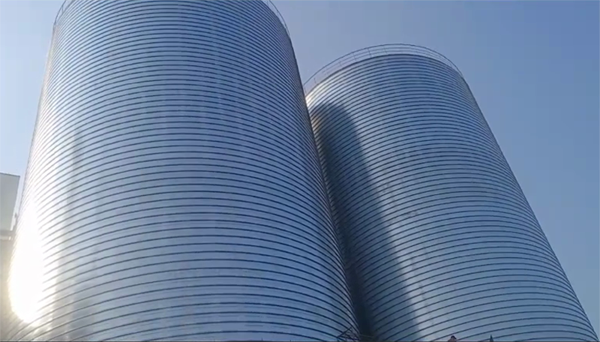 雁塔2座混凝土高架卷板仓